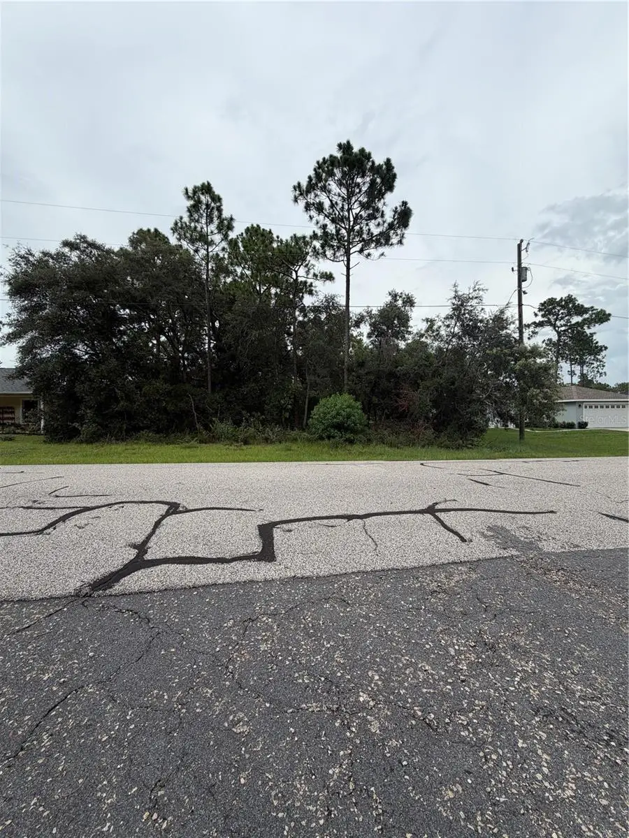 3289 W Viking Lane, Citrus Springs, FL 34433 - #2