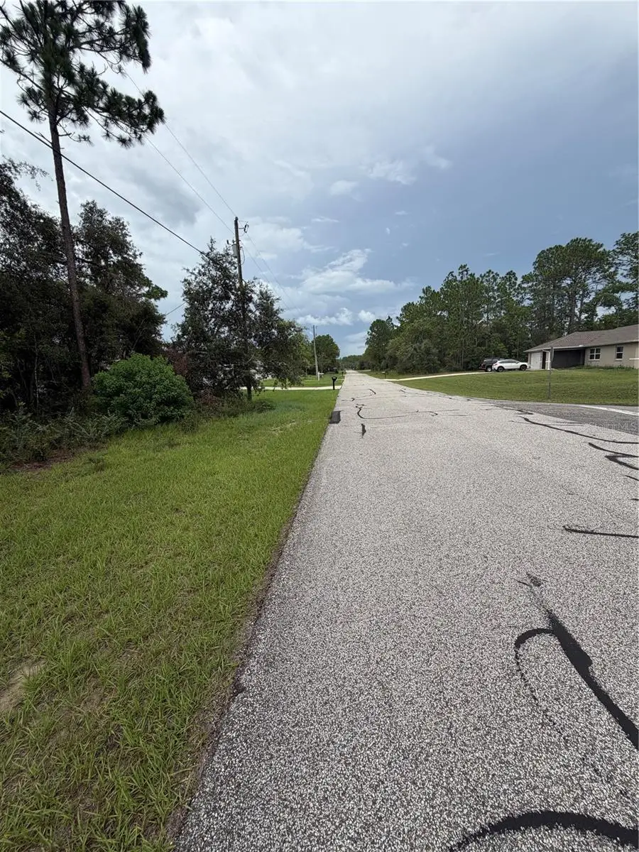 3289 W Viking Lane, Citrus Springs, FL 34433 - #3