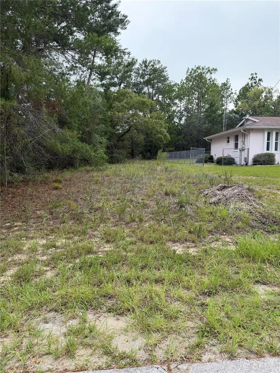 9512 N Akola Way, Citrus Springs, FL 34434 - #3