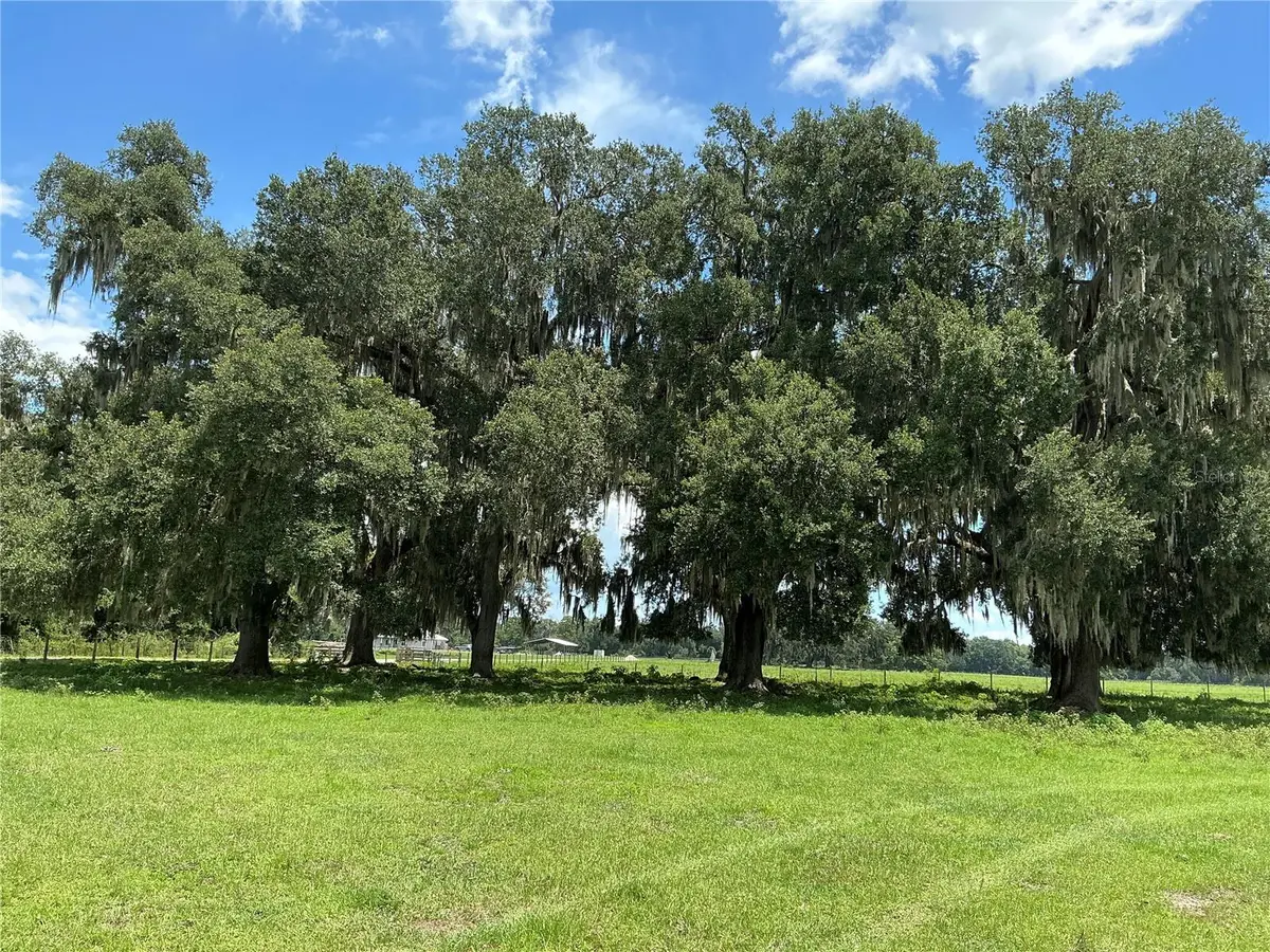 Cr 755, Webster, FL 33597 - #1