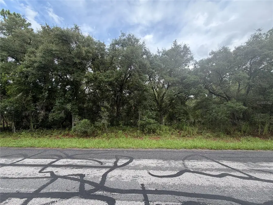3913 N Eisenhower Avenue, Hernando, FL 34442 - #2