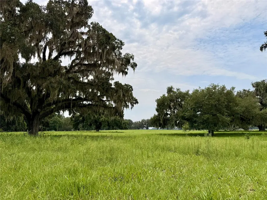 E C-478, Webster, FL 33597 - #2