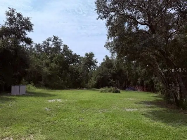 35356 Kramer Street, Webster, FL 33597 - #3