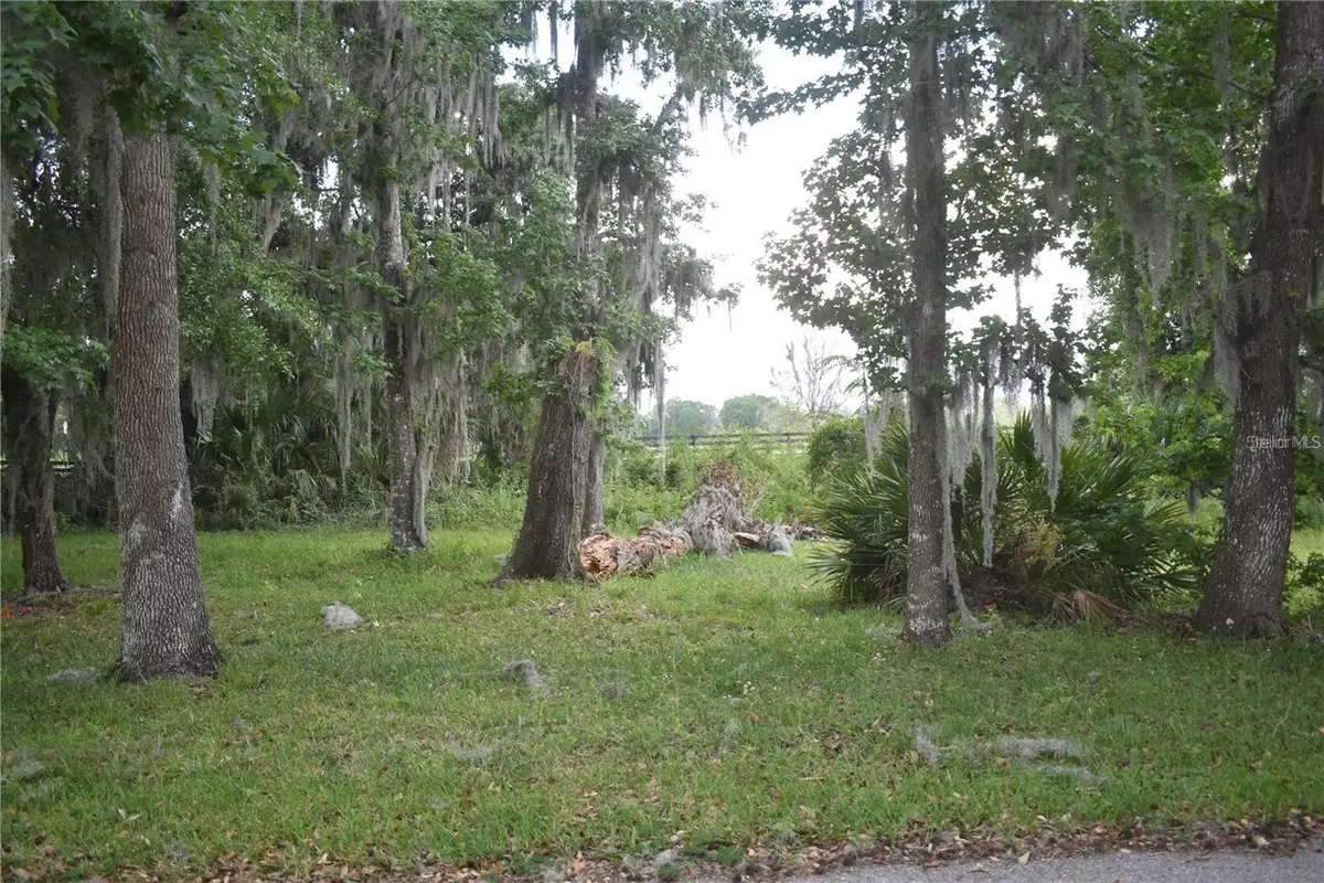 LOT 52 BLK C Lexington- Circle, Wildwood, FL 34785 - #1