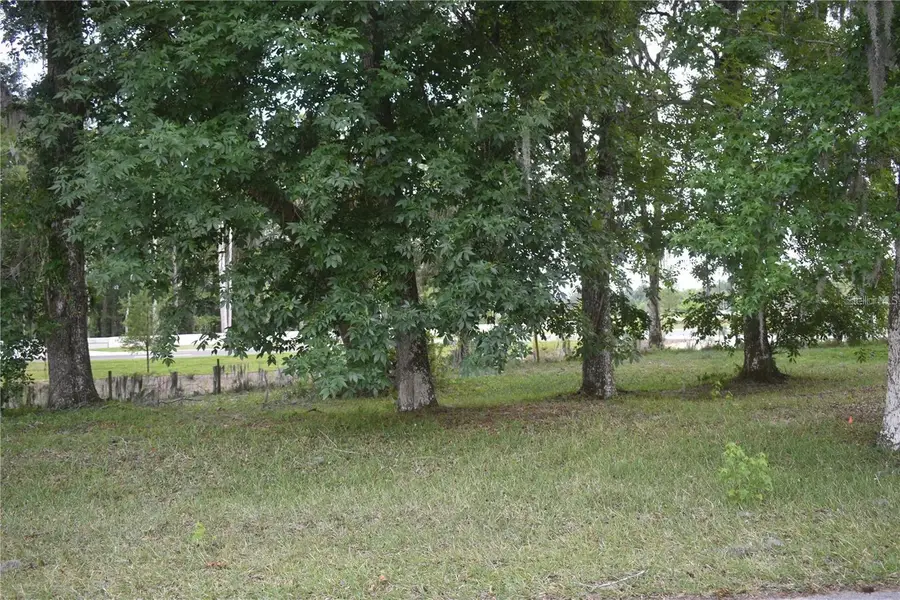 LOT 62 BLK C Lexington Circle, Wildwood, FL 34785 - #3