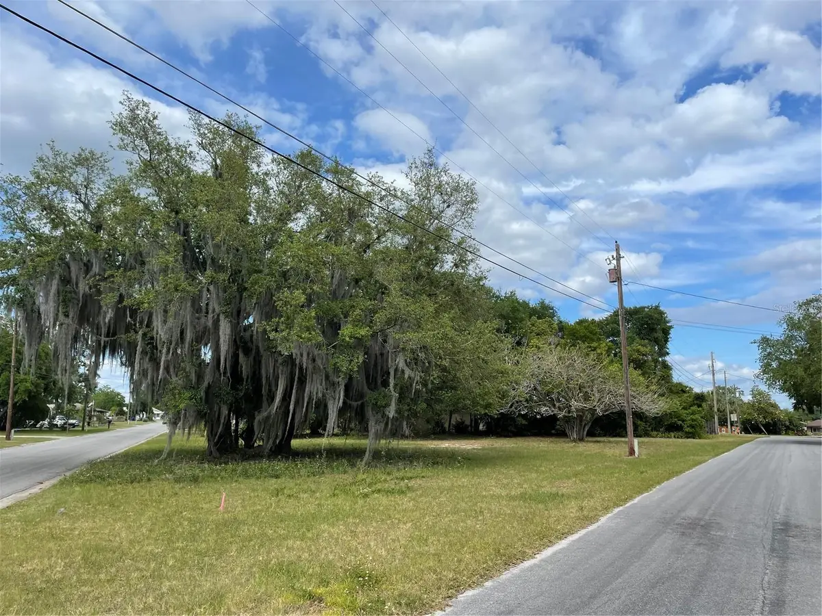 Clara Avenue, Tavares, FL 32778 - #1