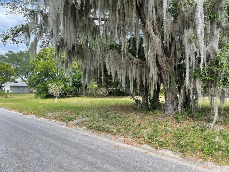 Clara Avenue, Tavares, FL 32778 - #2