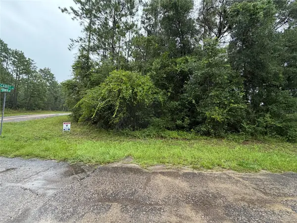 482 W Cabot Lane, CITRUS SPRINGS, FL 34434