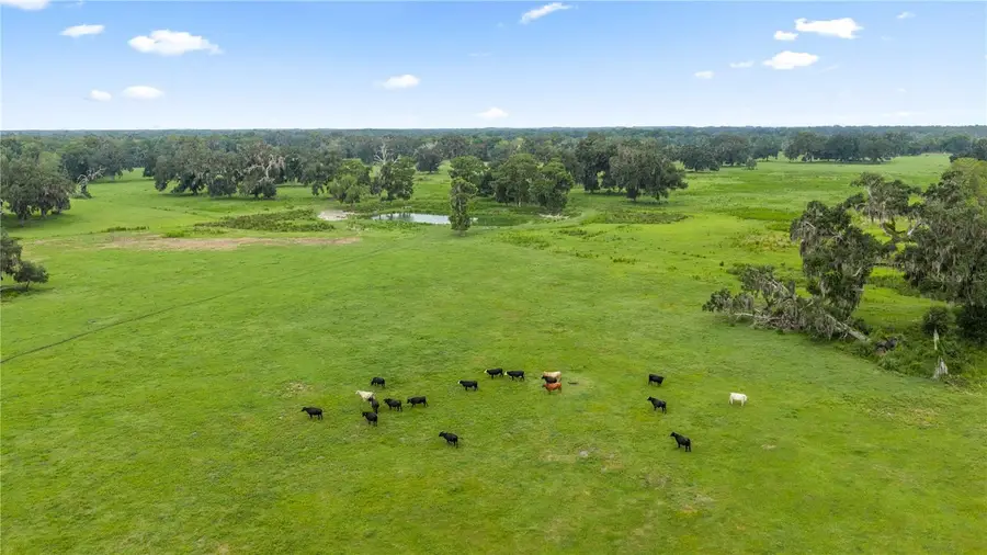 County Road 774, Webster, FL 33597 - #3