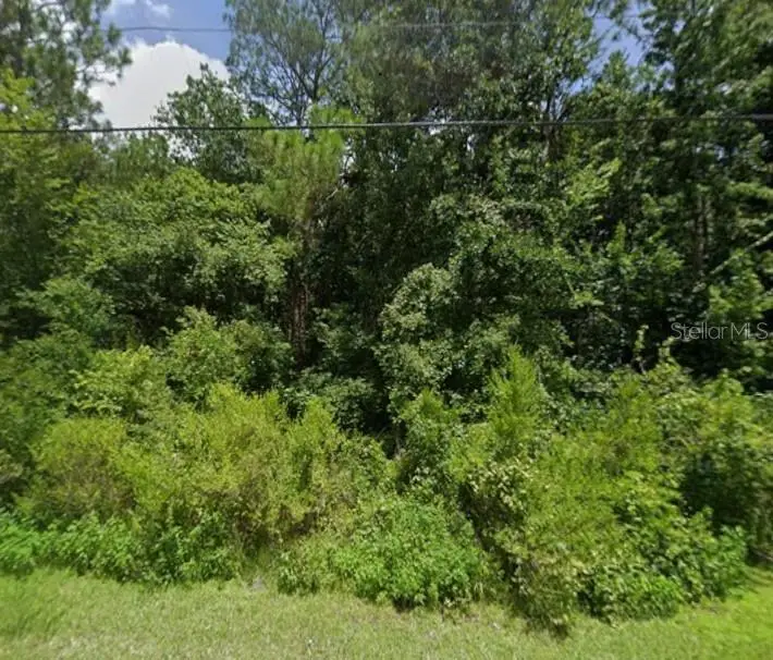 00 Lake Drive, New Port Richey, FL 34654 - #2