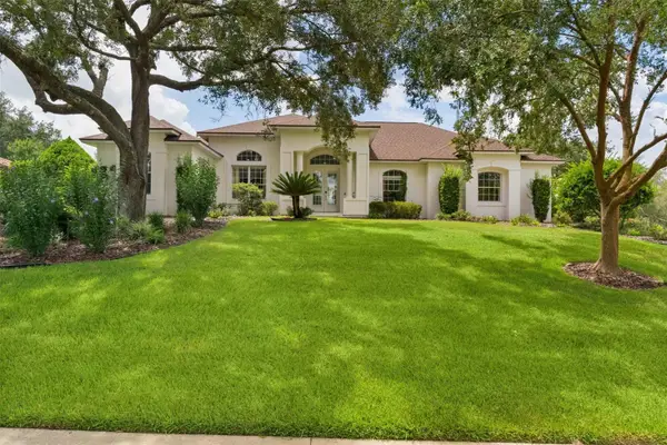 39407 Treeline Drive, LADY LAKE, FL 32159