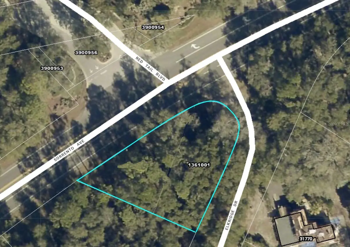 25950 Sorrento Avenue, Mount Plymouth, FL 32776 - #1