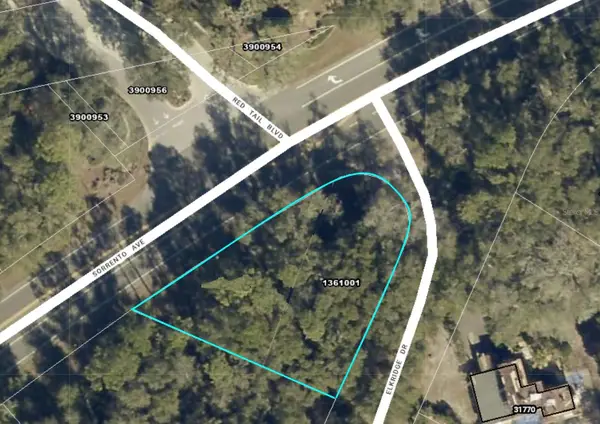 25950 Sorrento Avenue, MOUNT PLYMOUTH, FL 32776