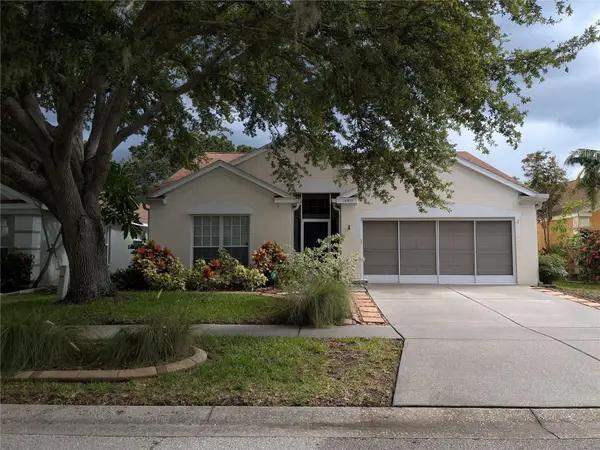 10507 Walker Vista Drive, RIVERVIEW, FL 33578