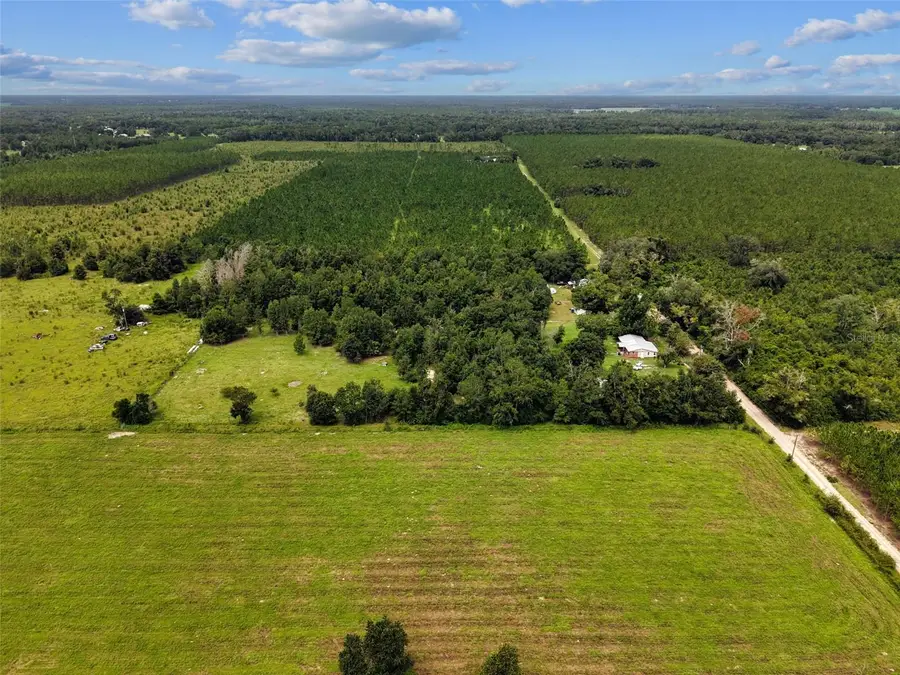 15518 192nd Street, Suwannee, FL 32071 - #3