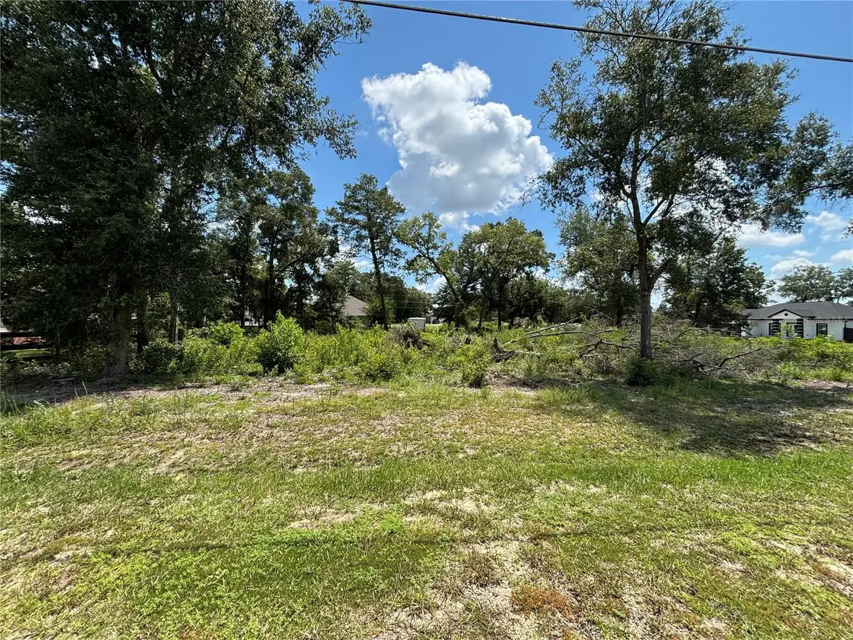SE 164th Place, Summerfield, FL 34491 - #1