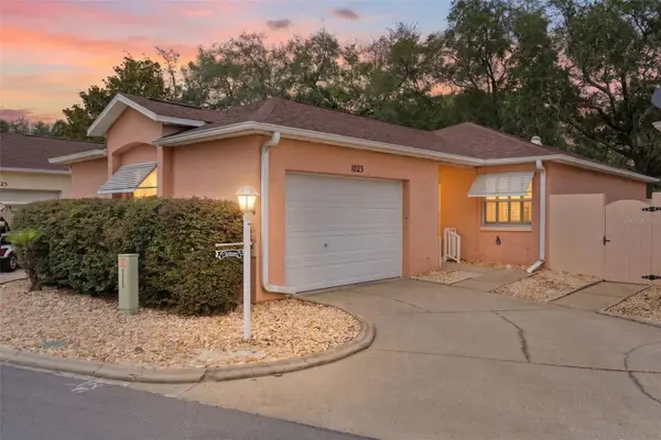 1023 Avalon Avenue, LADY LAKE, FL 32159