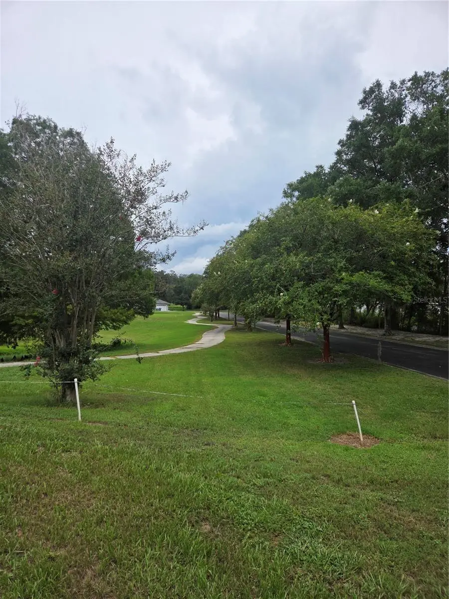 517 Dowling Circle, Lady Lake, FL 32159 - #3