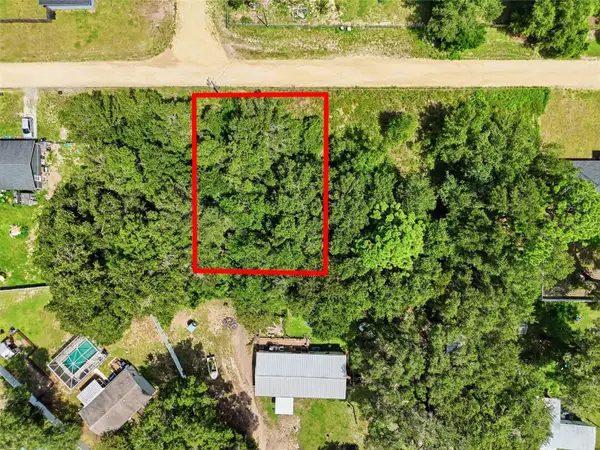 SE 142 Street, BELLEVIEW, FL 34420