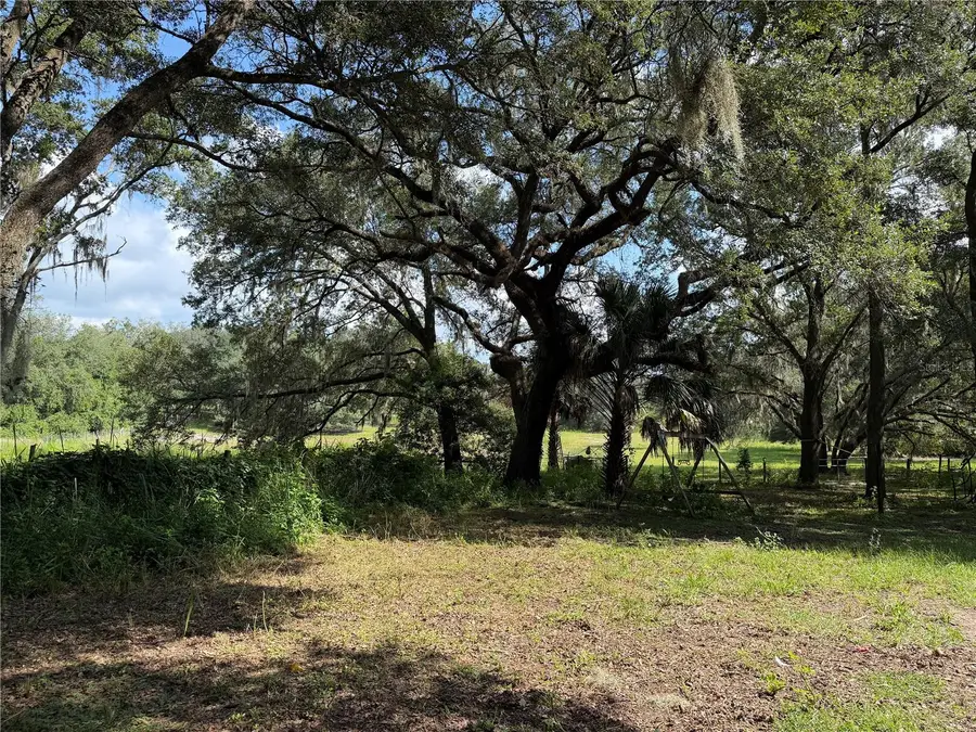 11324 Em En El Grove Road, Leesburg, FL 34788 - #3