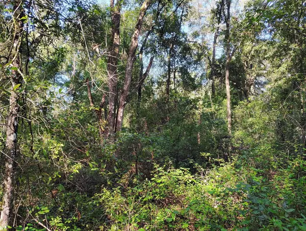 SW 158th Lane, DUNNELLON, FL 34432