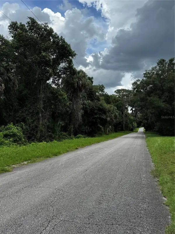 1423 Lemon Street, DELAND, FL 32720