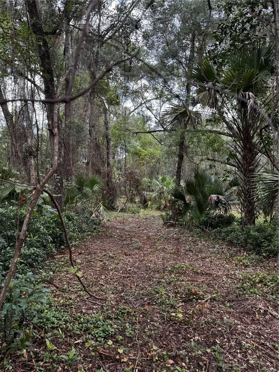 1423 Lemon Street, Deland, FL 32720 - #2