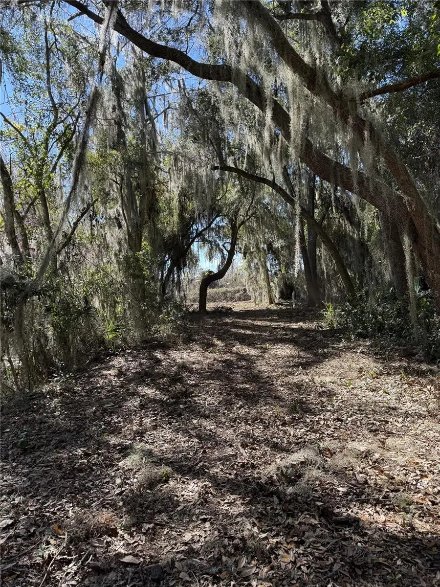 Ocklawaha Drive, Leesburg, FL 34788 - #2