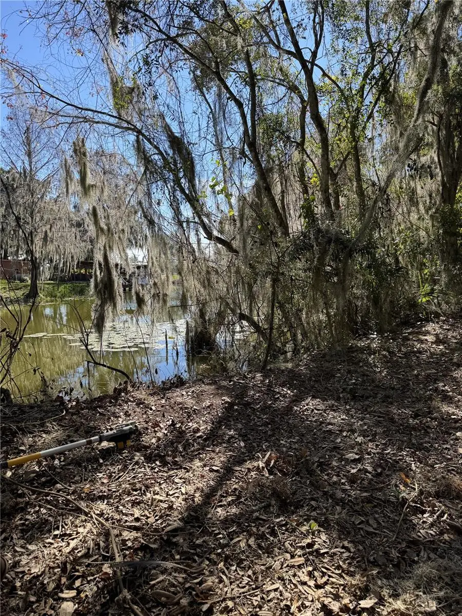 Ocklawaha Drive, Leesburg, FL 34788 - #3