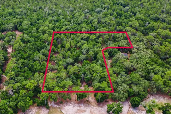 SE 152nd - Lot 16 (ravenswood Rd) Parcel B Place, ALTOONA, FL 32702