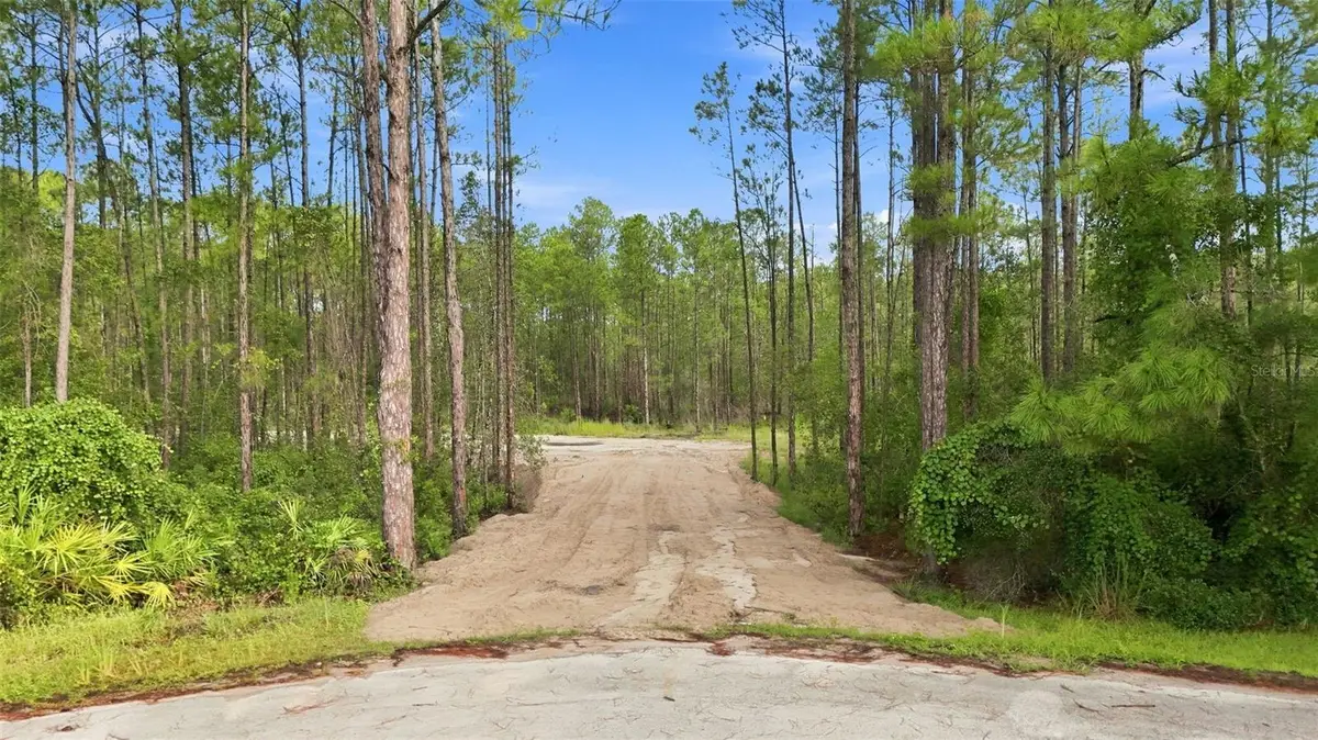 Alder Way, Eustis, FL 32736 - #1