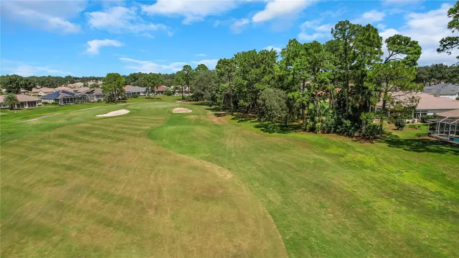 12832 SE 91st Court, Summerfield, FL 34491 - #3