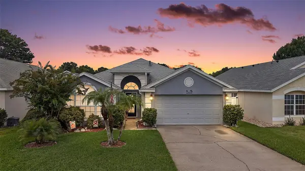 2803 Brook Hollow Road, CLERMONT, FL 34714