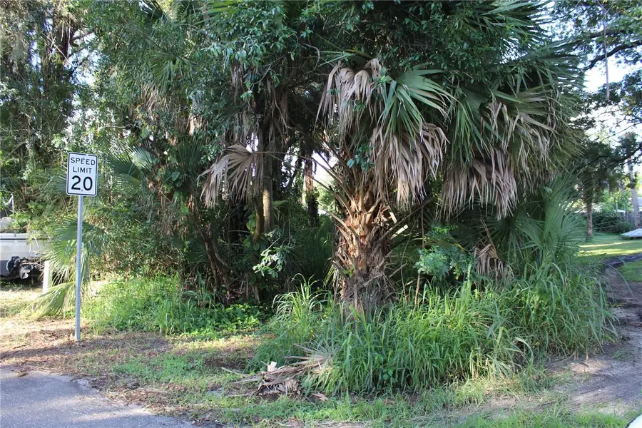 7023 Jasmine Avenue, Cocoa, FL 32927 - #3