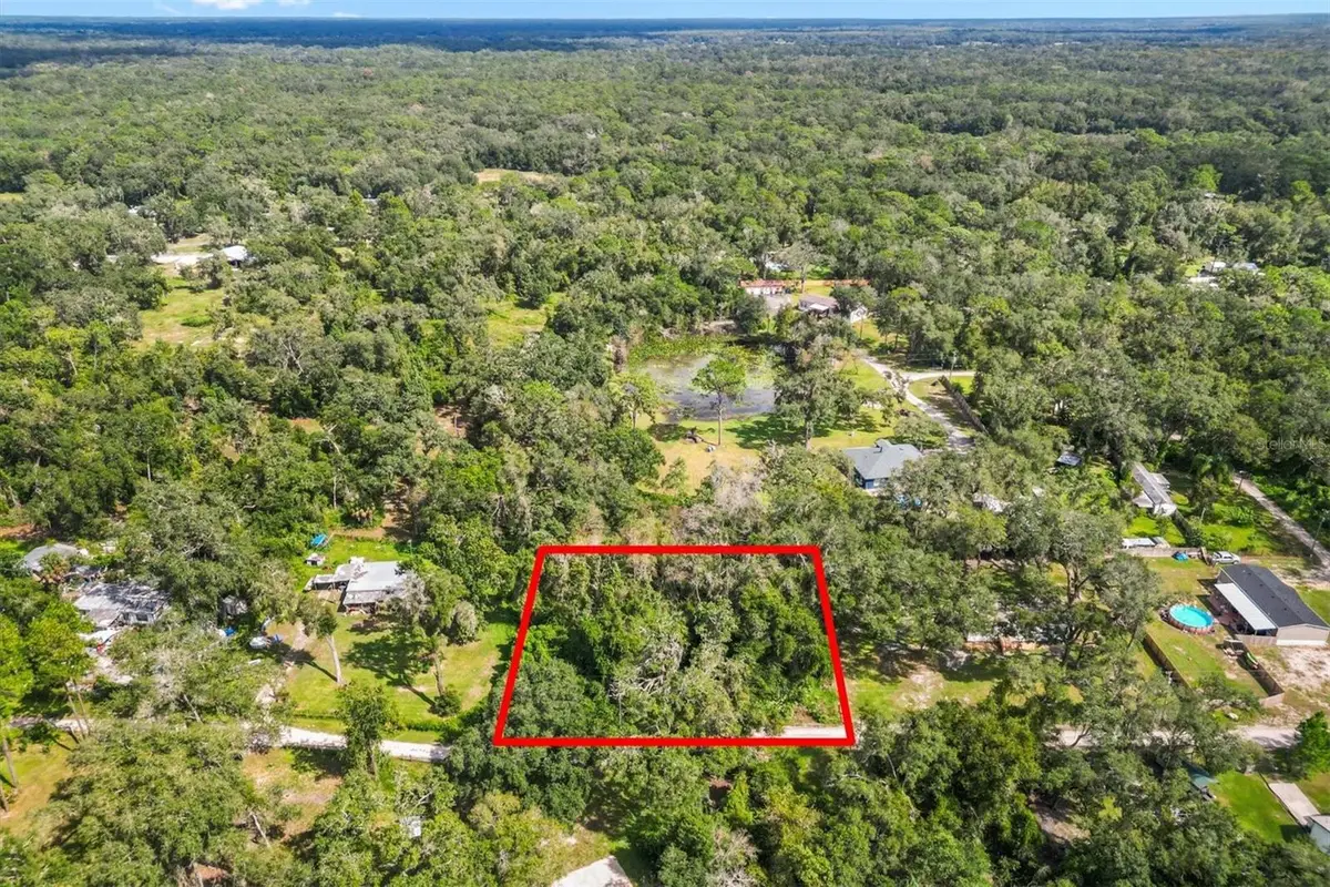 11XXX SW 42nd Terrace, Webster, FL 33597 - #1