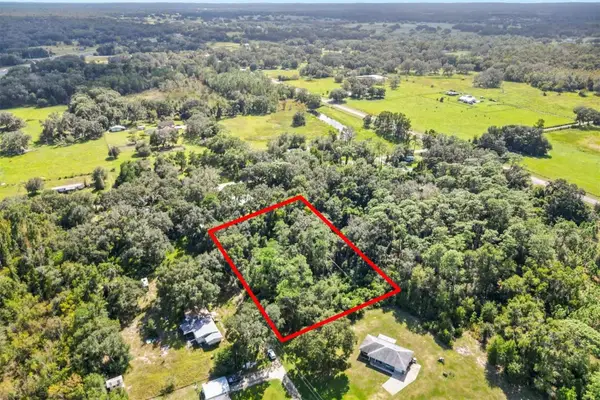 TBD SW 28th Street, BUSHNELL, FL 33513