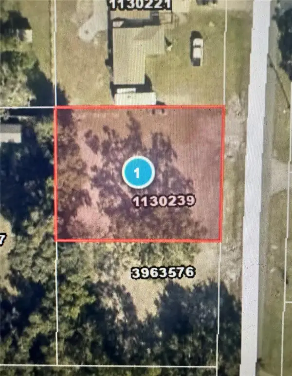 545 Ogden Avenue, UMATILLA, FL 32784