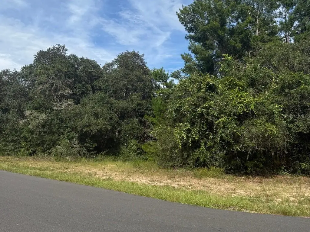 1721 E Colfax Lane, Hernando, FL 34442 - #1