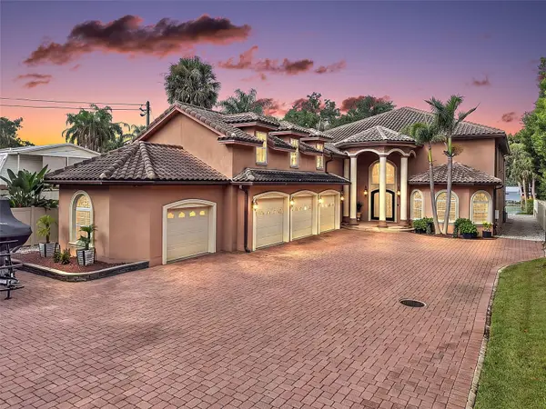 5476 Trimble Park Road, MOUNT DORA, FL 32757