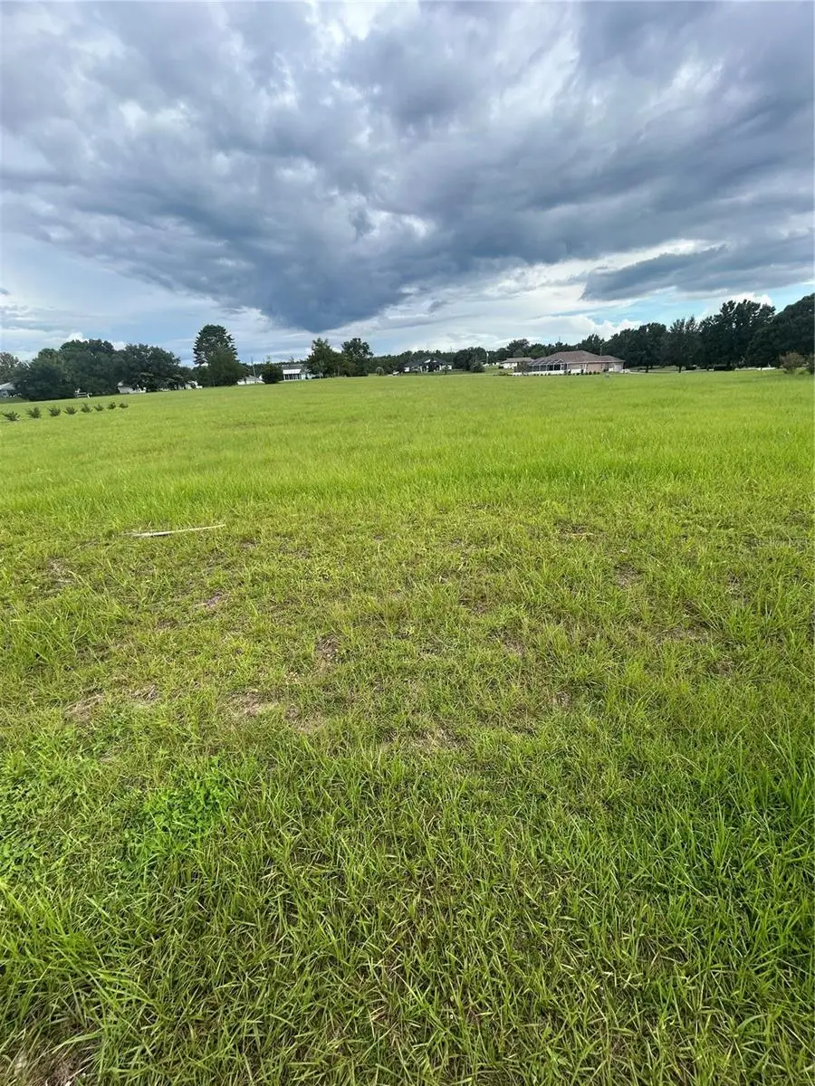 578 E Connecticut Lane, Hernando, FL 34442 - #1
