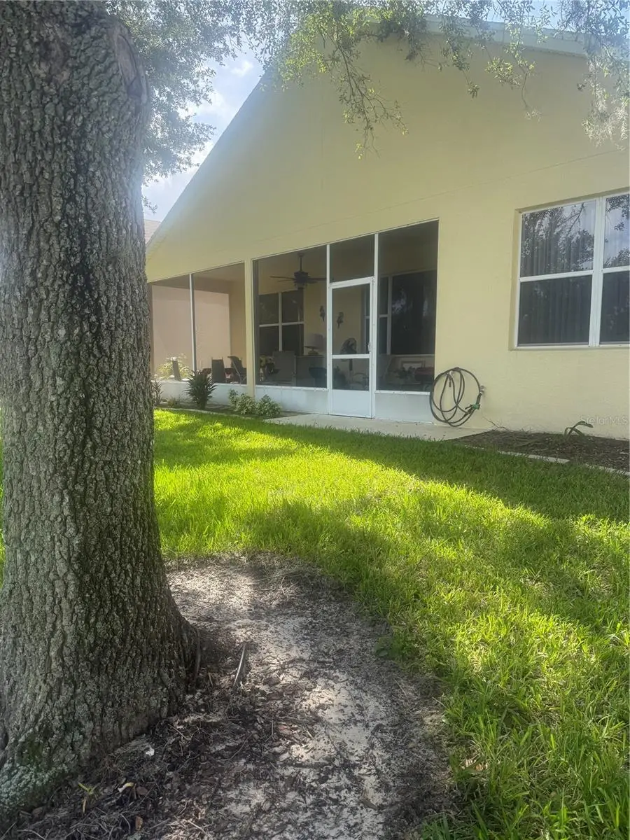 803 Wolf Creek Street, Clermont, FL 34711 - #2
