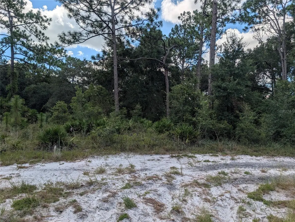 XXX Wedgewood Circle, Mount Dora, FL 32757 - #1