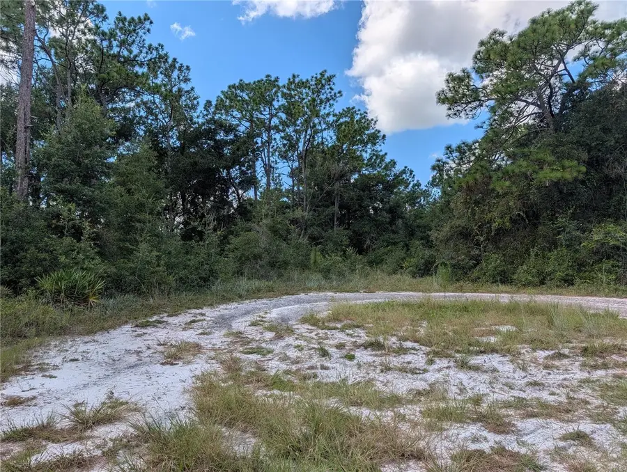 XXX Wedgewood Circle, Mount Dora, FL 32757 - #2
