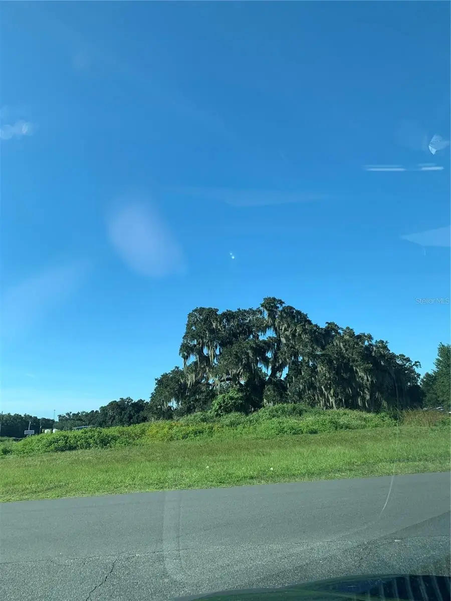 1271 N Florida Avenue, Hernando, FL 34442 - #2