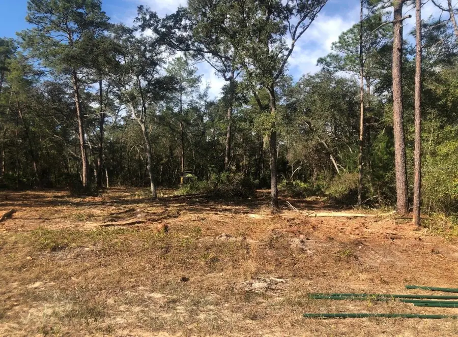 819 Creageer Avenue, Interlachen, FL 32148 - #3