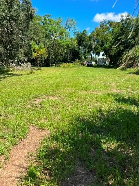 19 W Badger Avenue, EUSTIS, FL 32726