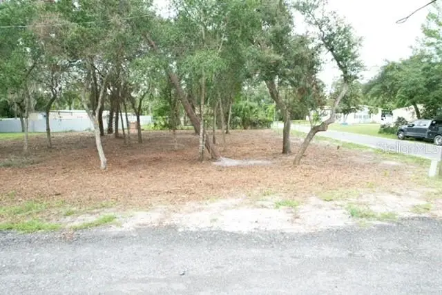 Luella Avenue, Paisley, FL 32767 - #1