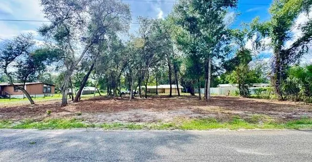 Luella Avenue, Paisley, FL 32767 - #3