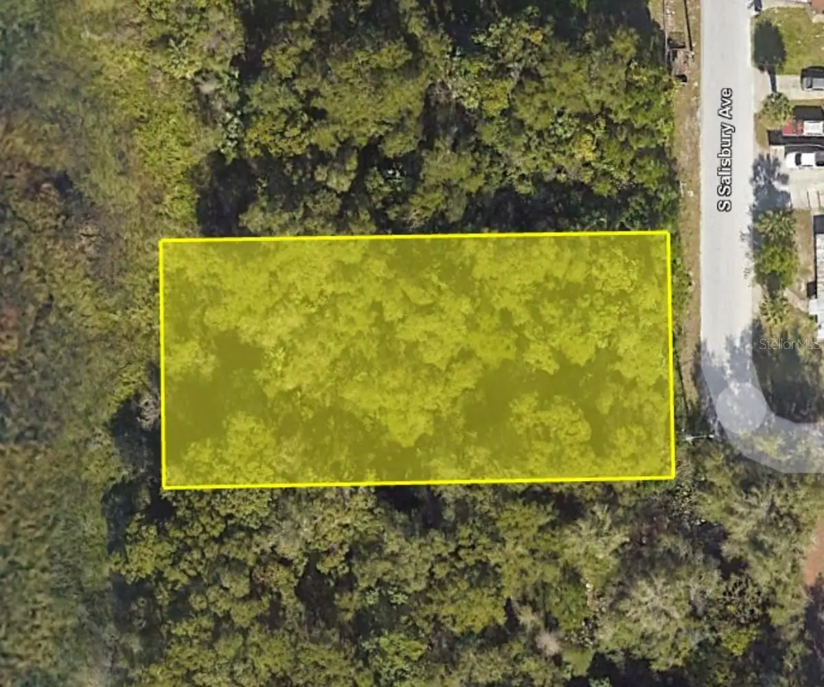 916 S Salisbury Avenue, Deland, FL 32720 - #1