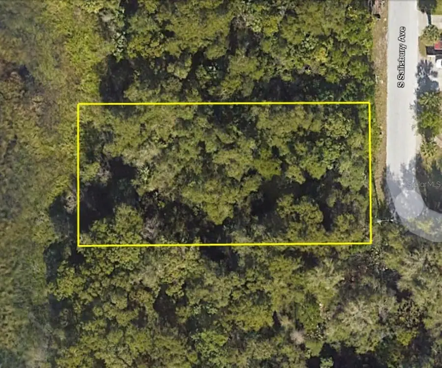 916 S Salisbury Avenue, Deland, FL 32720 - #3